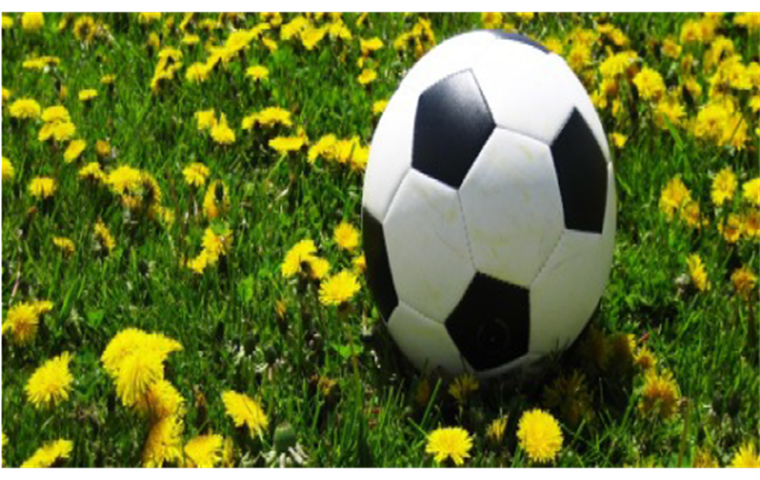 Spring Soccer important information